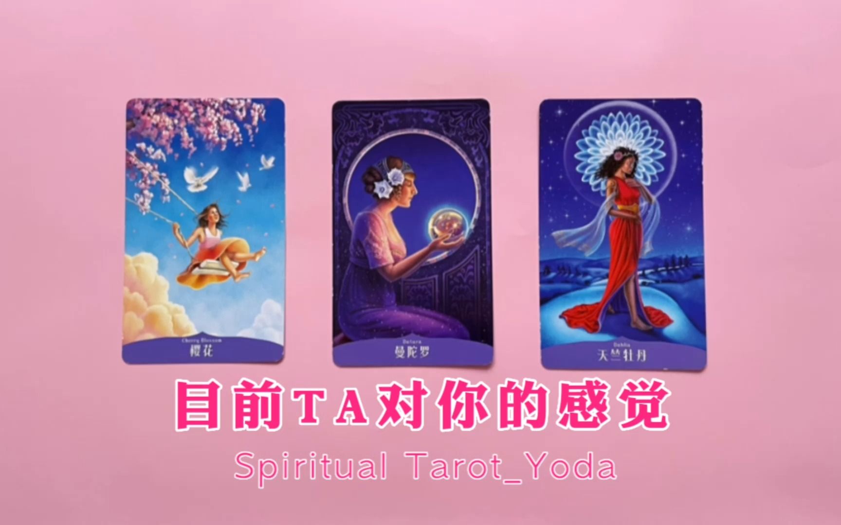 [图]【Yoda_Tarot】：目前TA对你的感觉