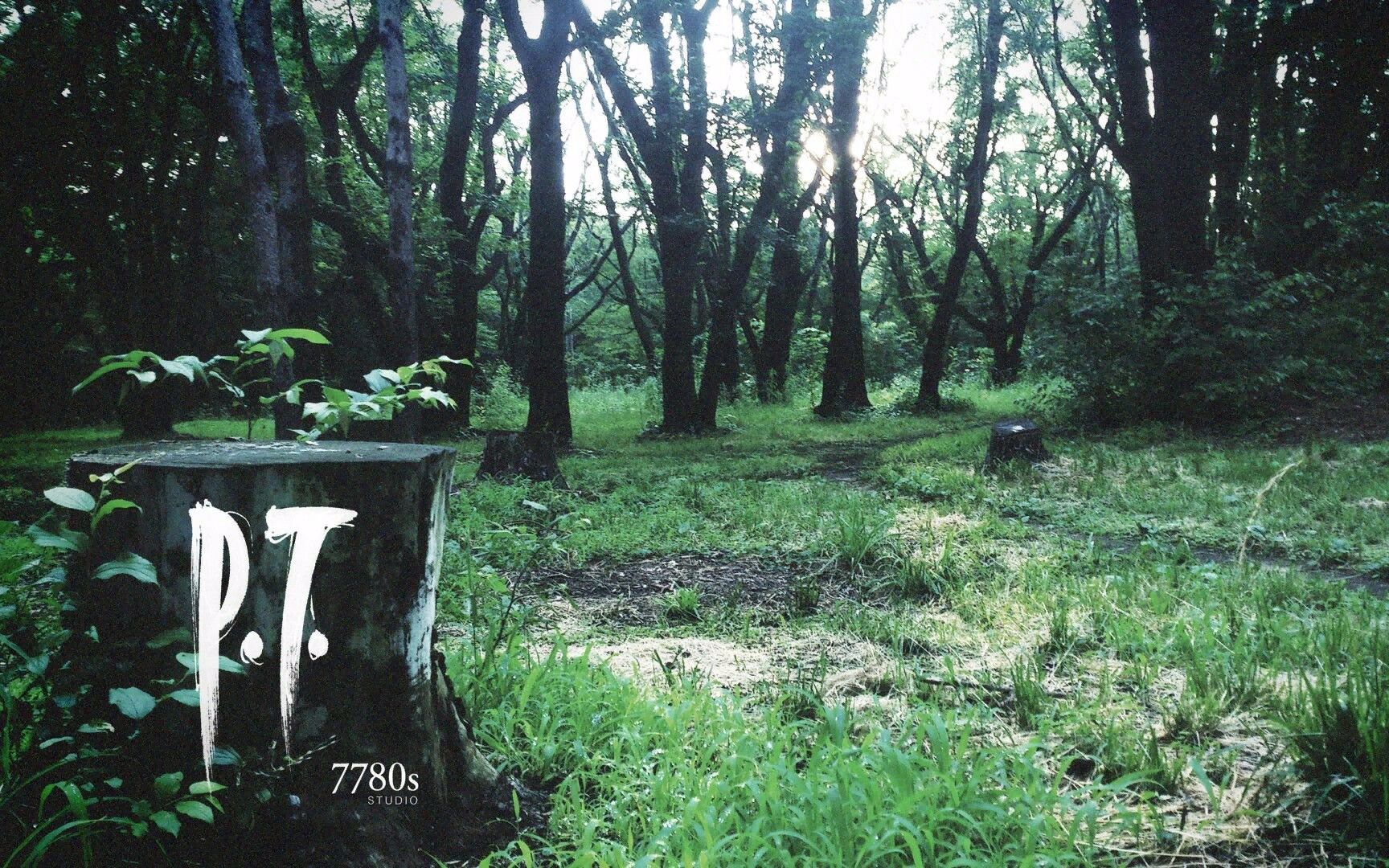 【寂静岭P.T.】中文字幕、全剧情、全收集、全程无伤流程攻略哔哩哔哩bilibili