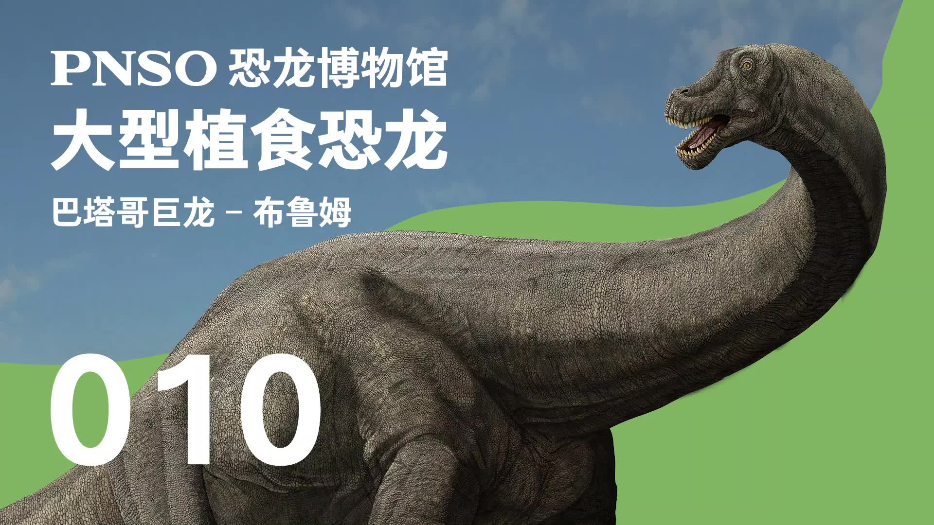 pnso恐龙博物馆三分钟带你认识一种恐龙巴塔哥巨龙布鲁姆