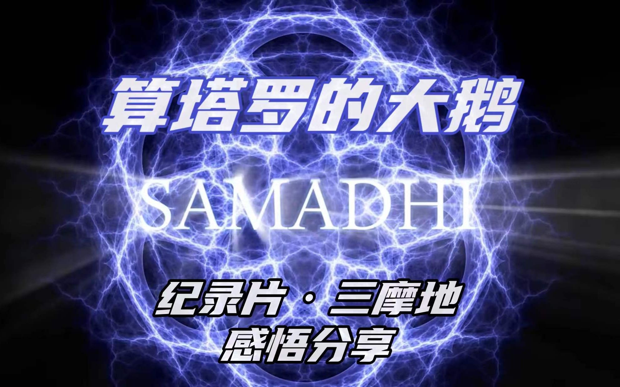 【算塔罗的大鹅】纪录片 三摩地>感悟分享_哔哩哔哩_bilibili