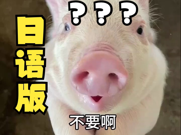 《我 看 你 真 是 饿 了》哔哩哔哩bilibili