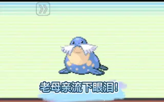 海豹球 搜索结果 哔哩哔哩 Bilibili