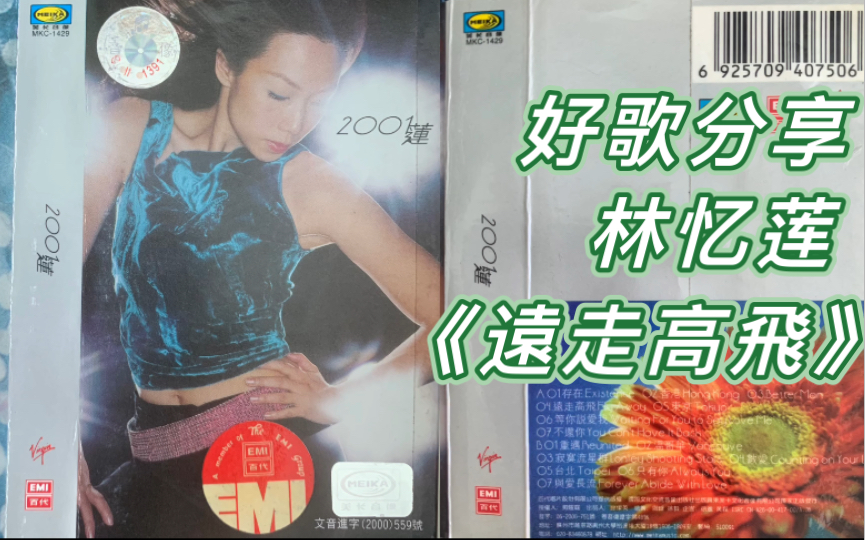 [图]好歌分享：随林忆莲一起《遠走高飛》选自林忆莲2001年专辑《2001莲》