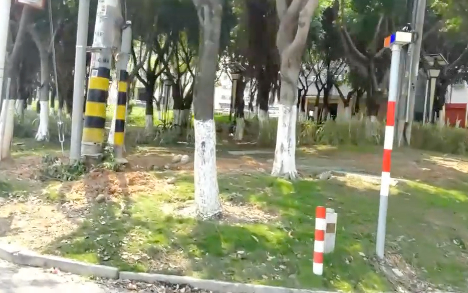 世界更重要的是认识一群和你一起看世界的人vlog旅行记清华园日记2
