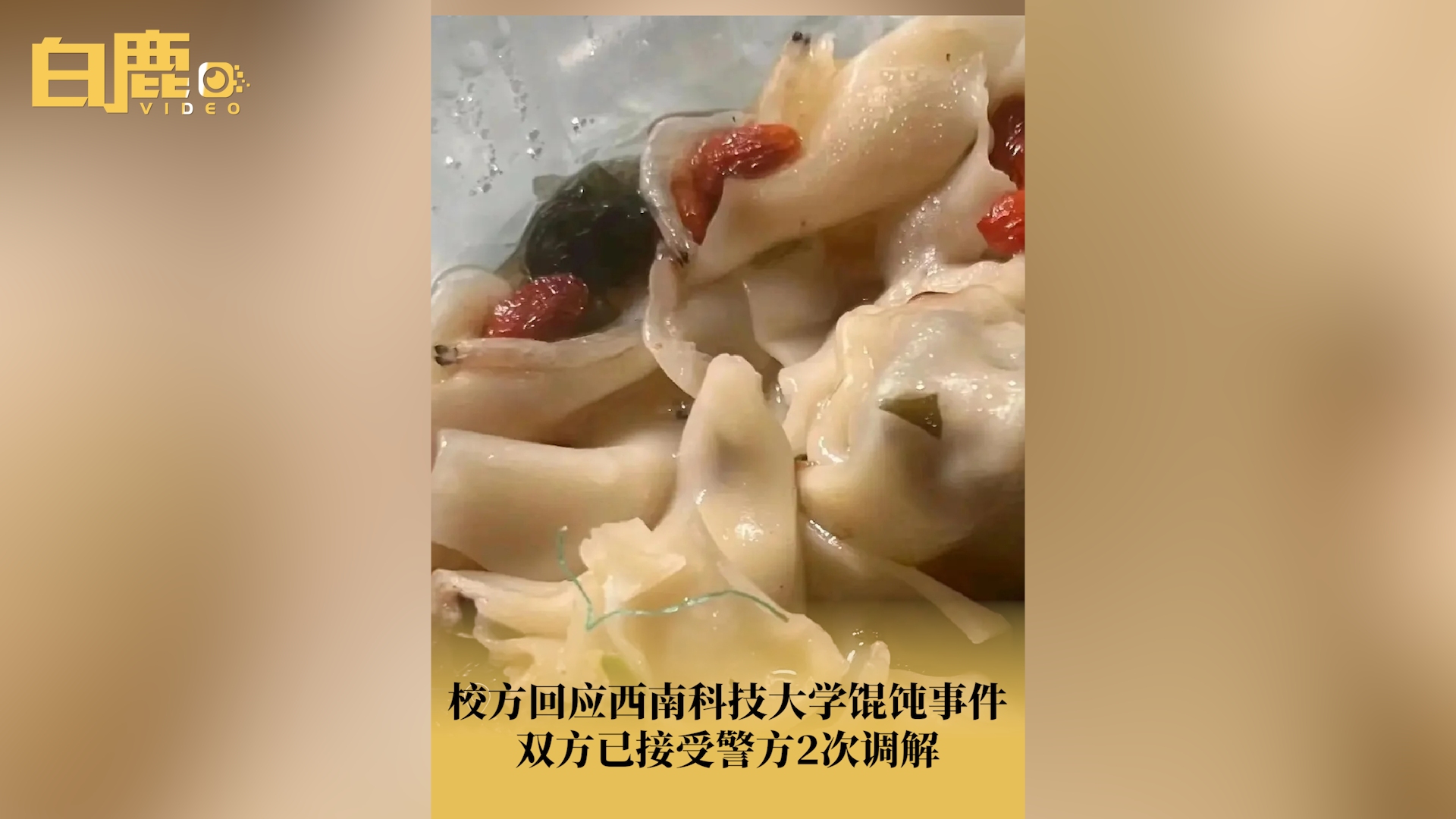 [图]校方回应西南科技大学馄饨事件