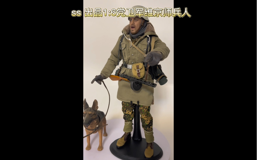ss出品党卫军维京师1:6模型