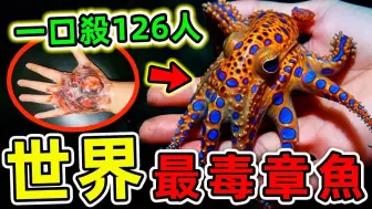 Tải video: 全世界最毒的10种章鱼！蓝环章鱼只排第3，第一名能杀死126人，比眼镜王蛇更毒50倍，看到千万要跑