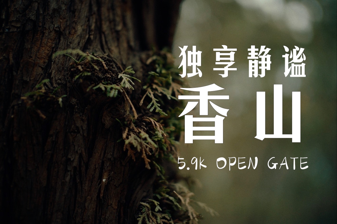 独享静谧|带你看不同往日的香山|仿胶片5.9KOpen Gate短片哔哩哔哩bilibili