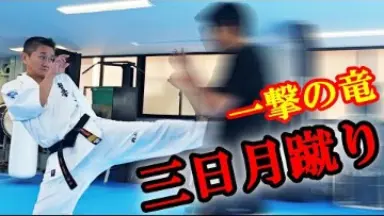 Amazon.co.jp: ︎DVD︎ 成嶋 竜 4本セット 一撃の竜 極真空手