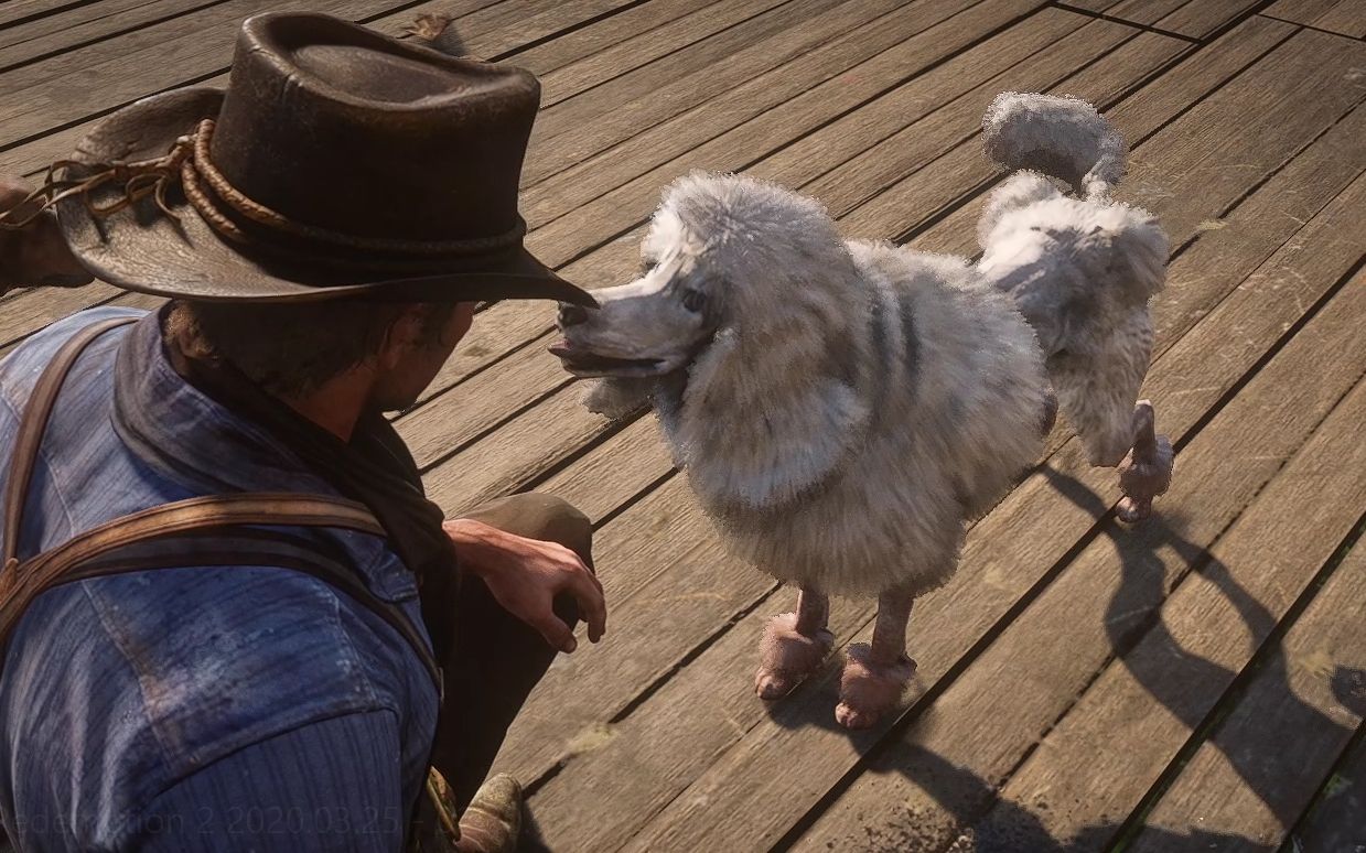 《荒野大镖客2》里面13种犬类全演示