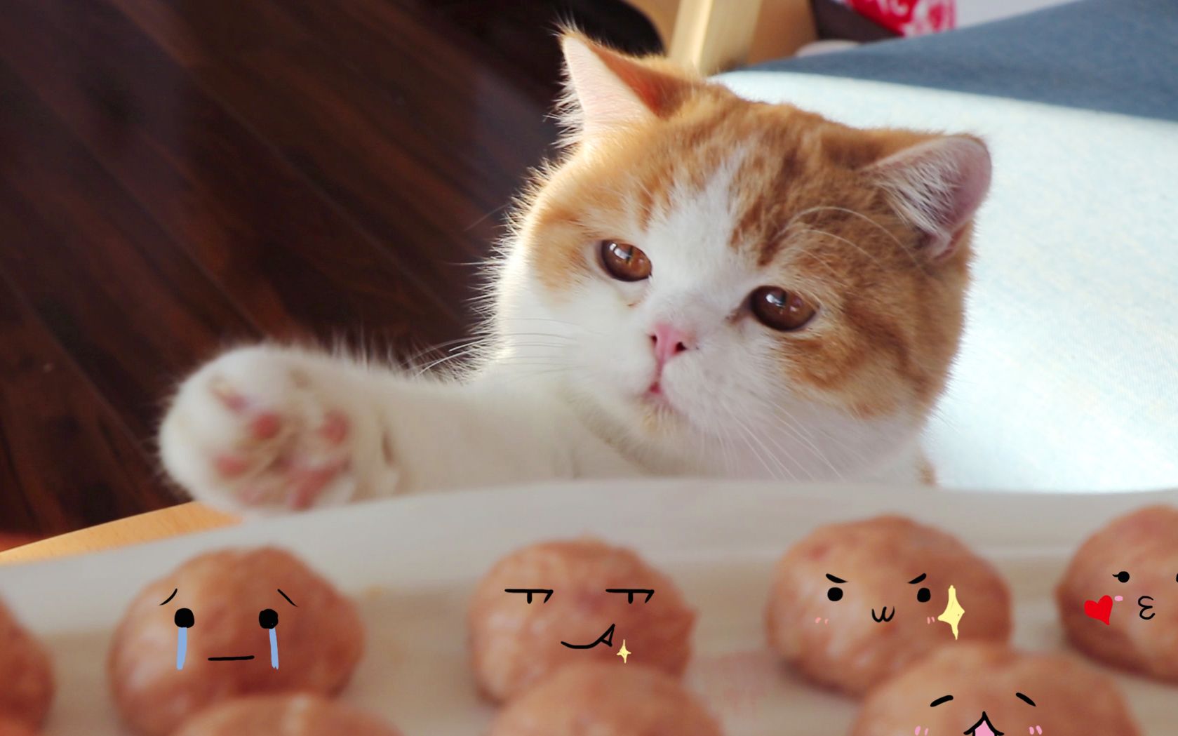 铲屎官为猫咪做"汤圆",小橘猫偷肉n次失败,直勾勾的小眼神太萌了