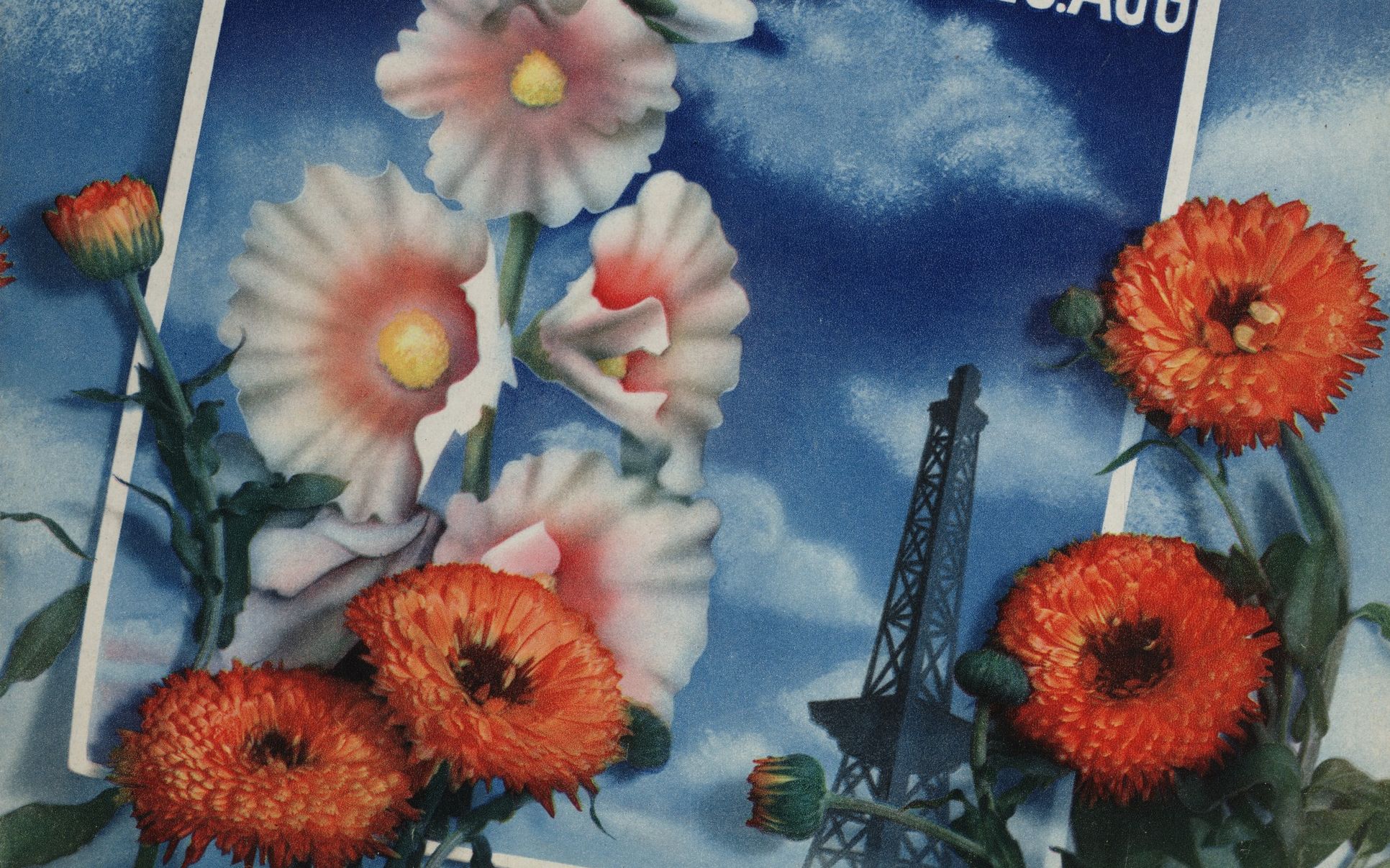 「照片蒙太奇」史册百位摄影大师:herbert bayer 赫伯特·拜耶【作品