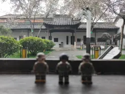 Tải video: 当乐高第三方brick mania遇上西府海棠