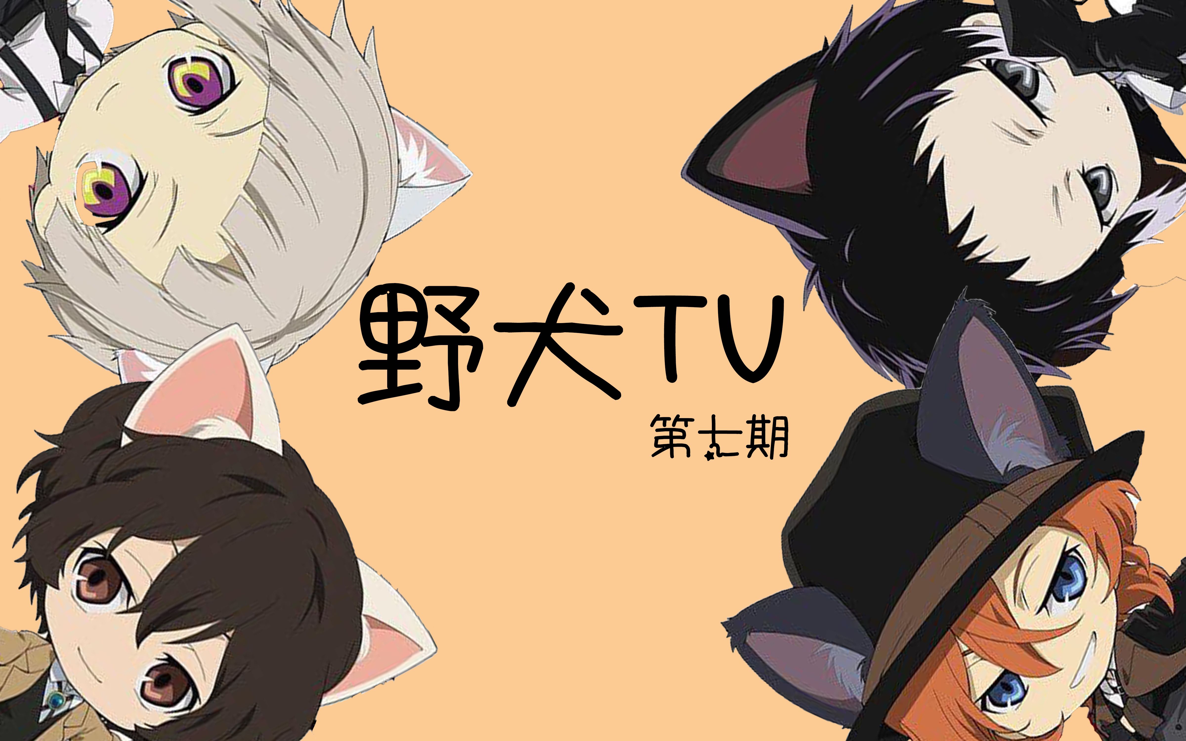 【文豪野犬/搞笑向】bgm的正确使用方式—野犬tv第七期