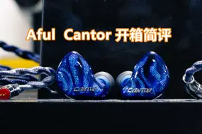 下载视频: 知音堂丨致音你太美！单边14单元！超旗舰耳塞Aful Cantor开箱简评！