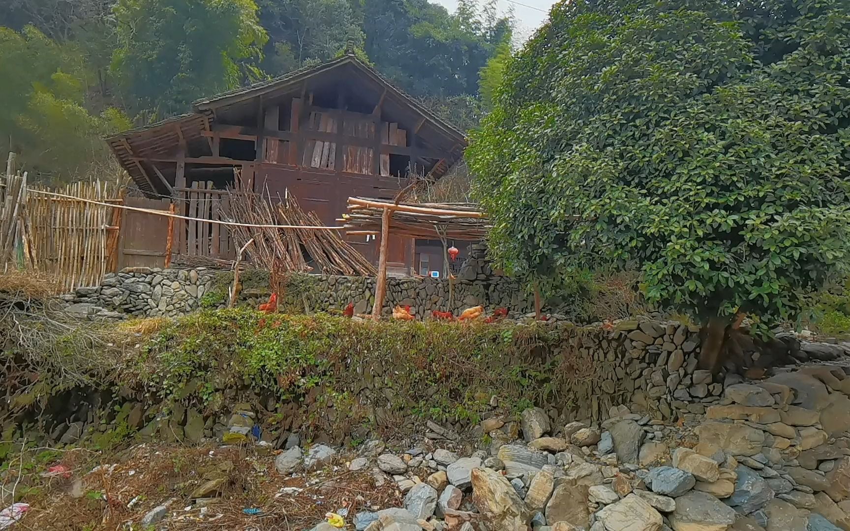 湘西木屋,小溪茂林修竹风景极佳,却因一个原因让租客望而却步