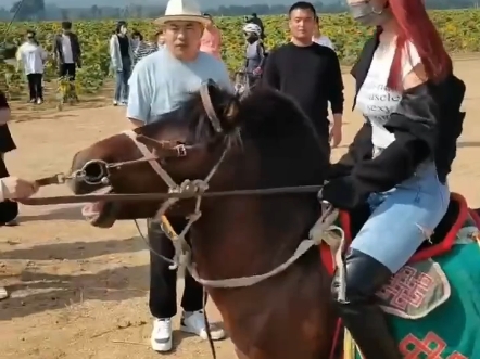 过膝长靴美女骑矮马