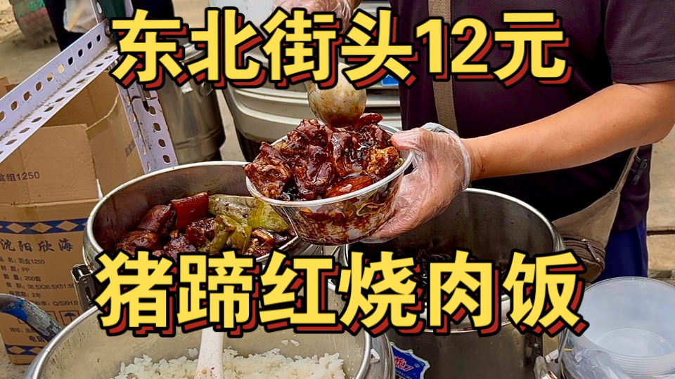 东北街头12元猪蹄红烧肉饭 这量太逆天了！海报