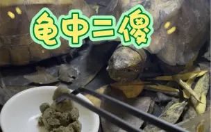 半水的两个智障，锯缘和枫叶。