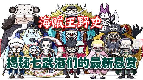 海贼王野史 揭秘七武海们的最新悬赏 猛料不断 敬请收看 哔哩哔哩