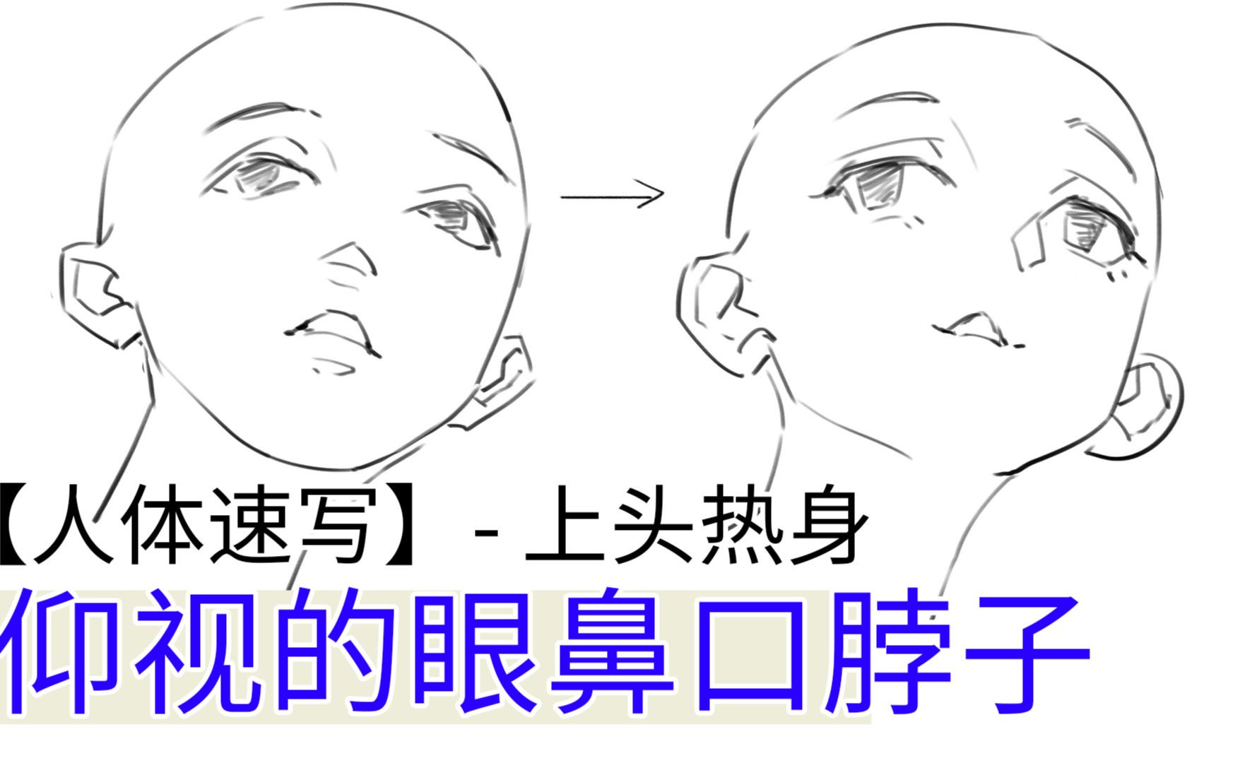 【asc】人体带练72/100 上头热身 仰视的眼鼻口脖子