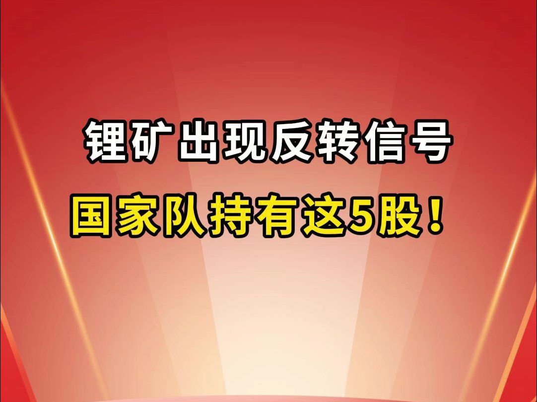 锂矿概念股出现反转信号,国家队持有这5家公司!哔哩哔哩bilibili