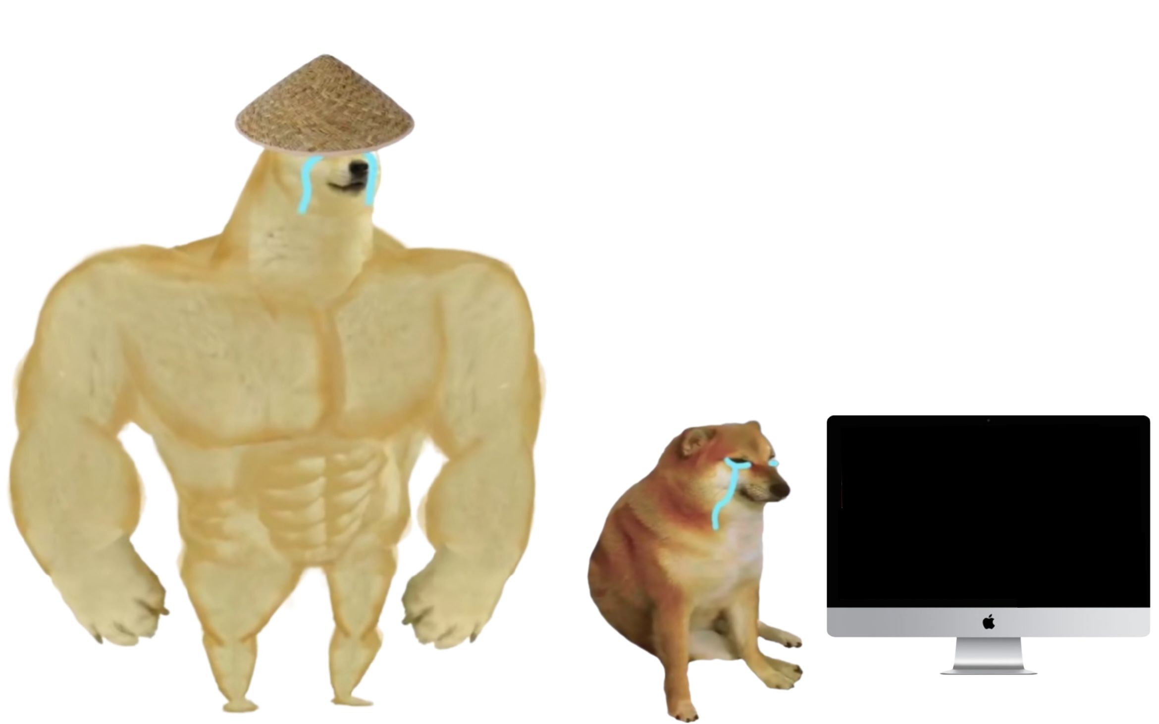 活动作品被父爱拯救的cheems