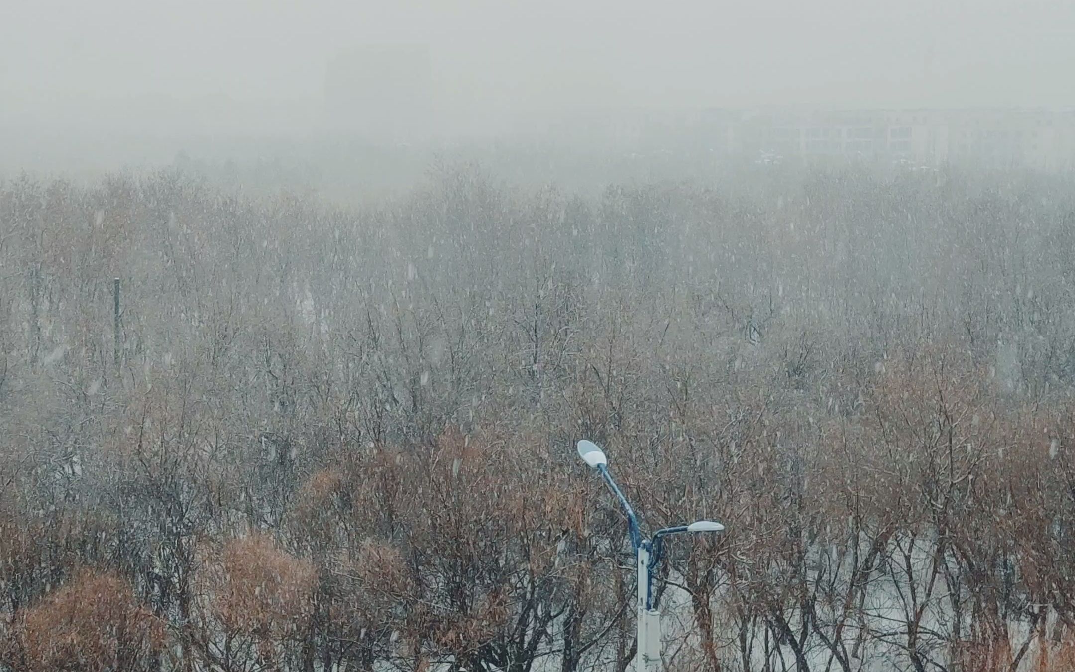 [图]小城三月的雪