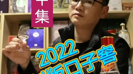 2022年复刻版口子窖品鉴中集 #口子窖 #口子窖酒 #白酒品鉴哔哩哔哩bilibili