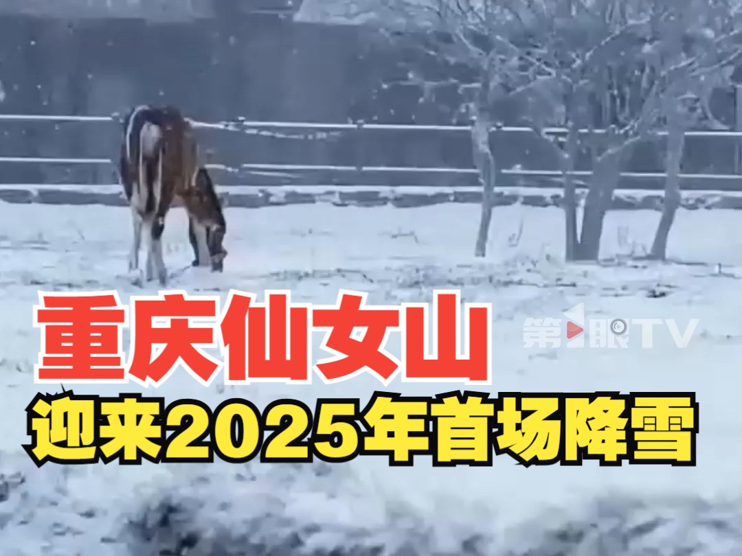 重庆武隆仙女山迎来2025年首场降雪哔哩哔哩bilibili