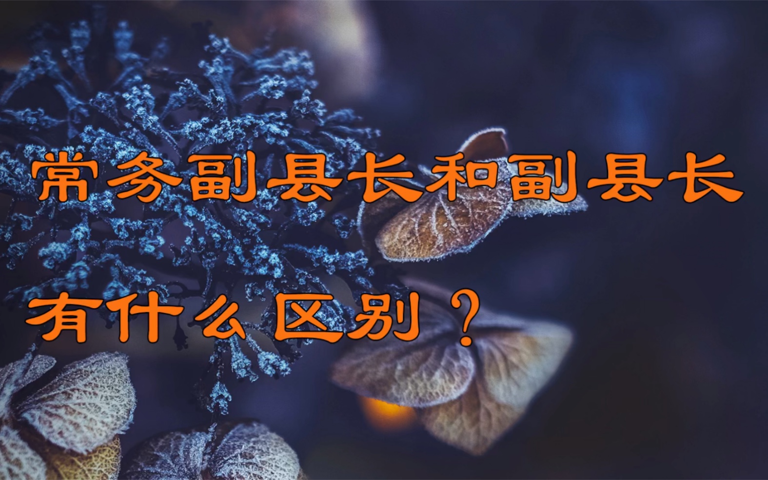 常委副县长和副县长有什么区别?哔哩哔哩bilibili