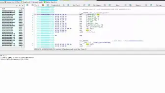 ida_pro_plugin逆向分析功能强大经典插件XrefsExt自动变量分析方便快捷3演示v1.3