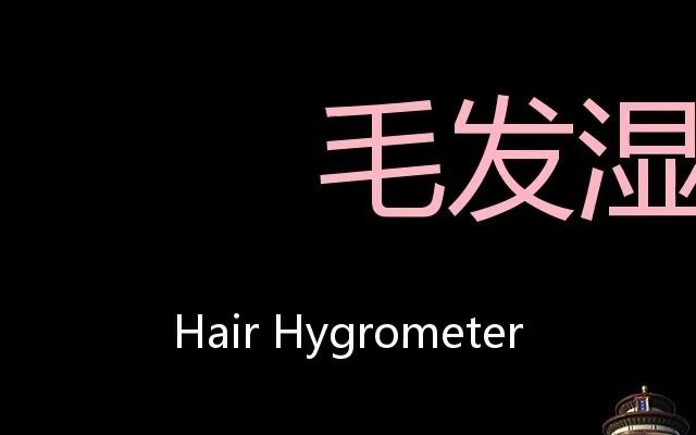 毛发湿度计 Chinese Pronunciation Hair hygrometer哔哩哔哩bilibili