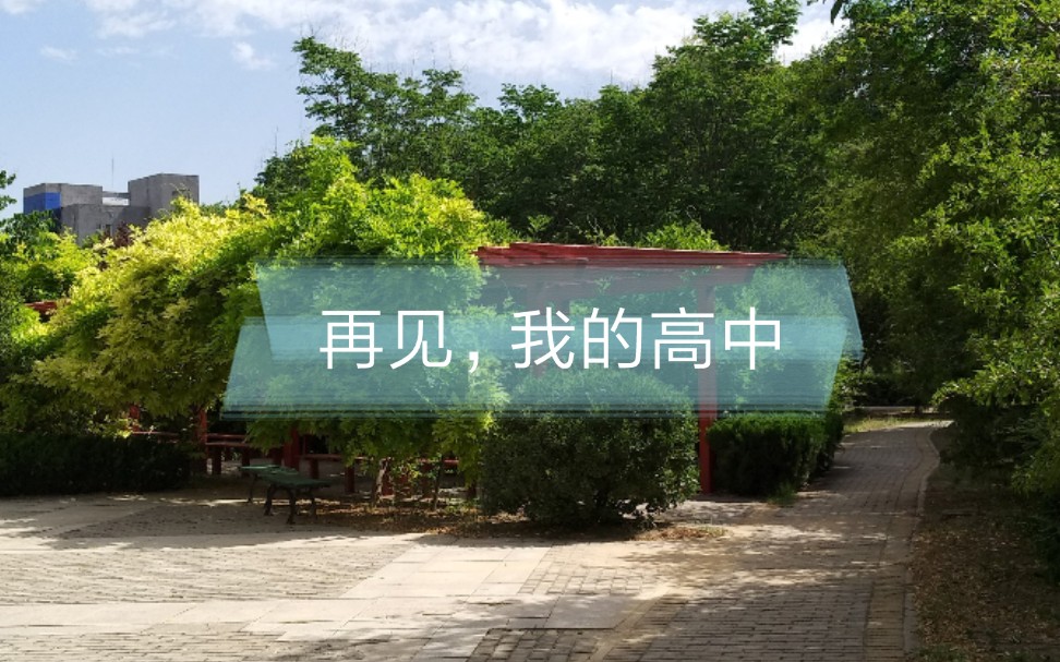 毕业后的校园一景 ………………… 安阳市实验中学哔哩哔哩bilibili