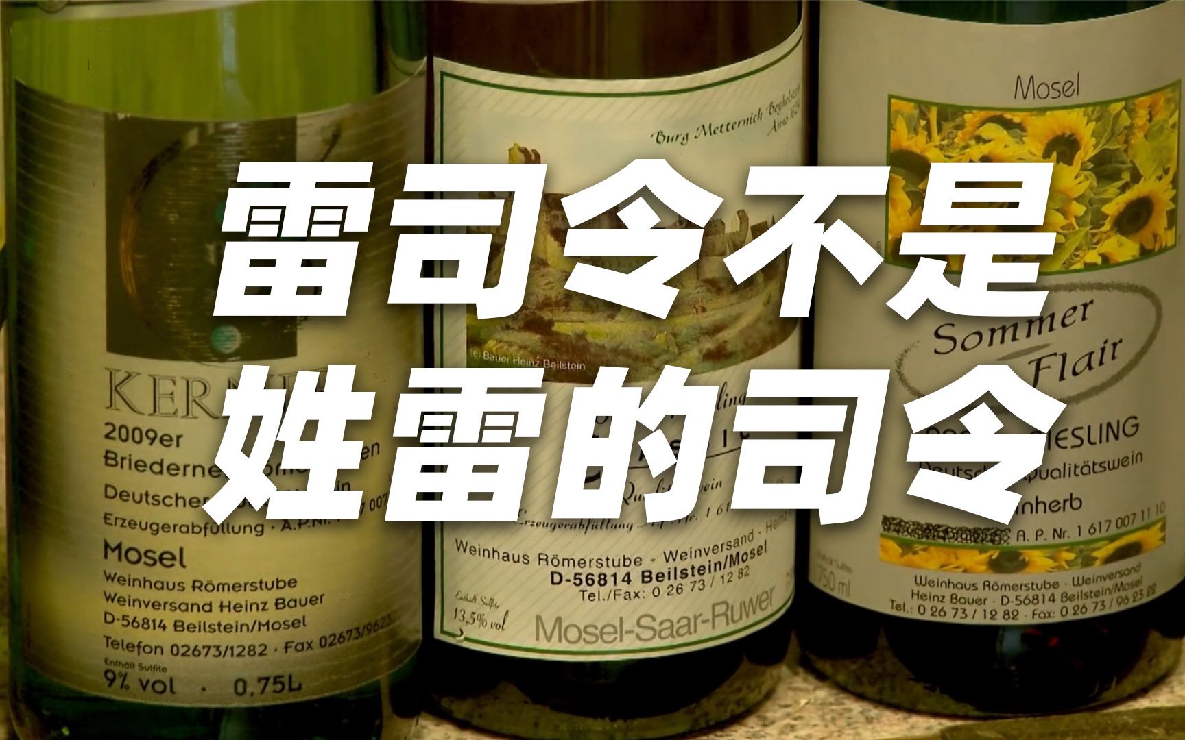 雷司令 Riesling,德国白葡萄酒的旗舰!哔哩哔哩bilibili