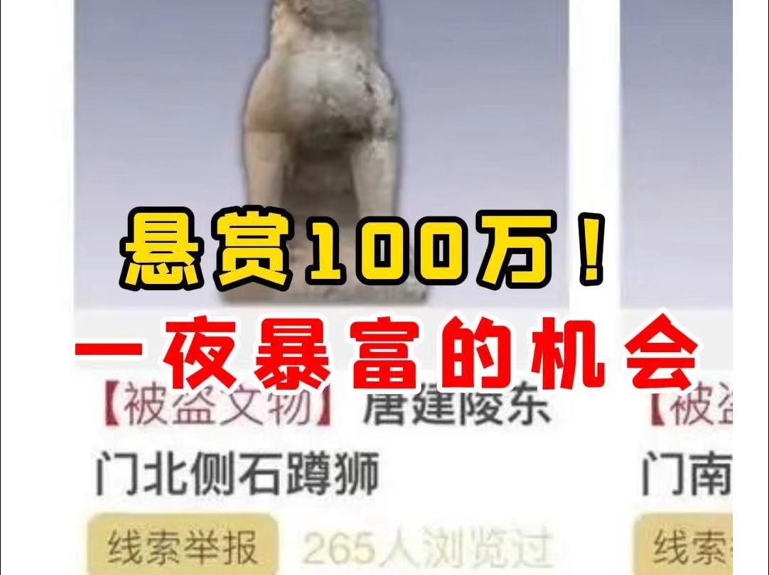 【微拍堂】悬赏100万!一夜暴富的机会哔哩哔哩bilibili