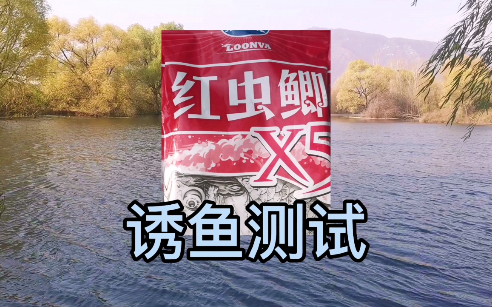测试龙王恨红虫鲫x5在水下的诱鱼效果,大鲤鱼强行霸窝全过程_哔哩哔哩