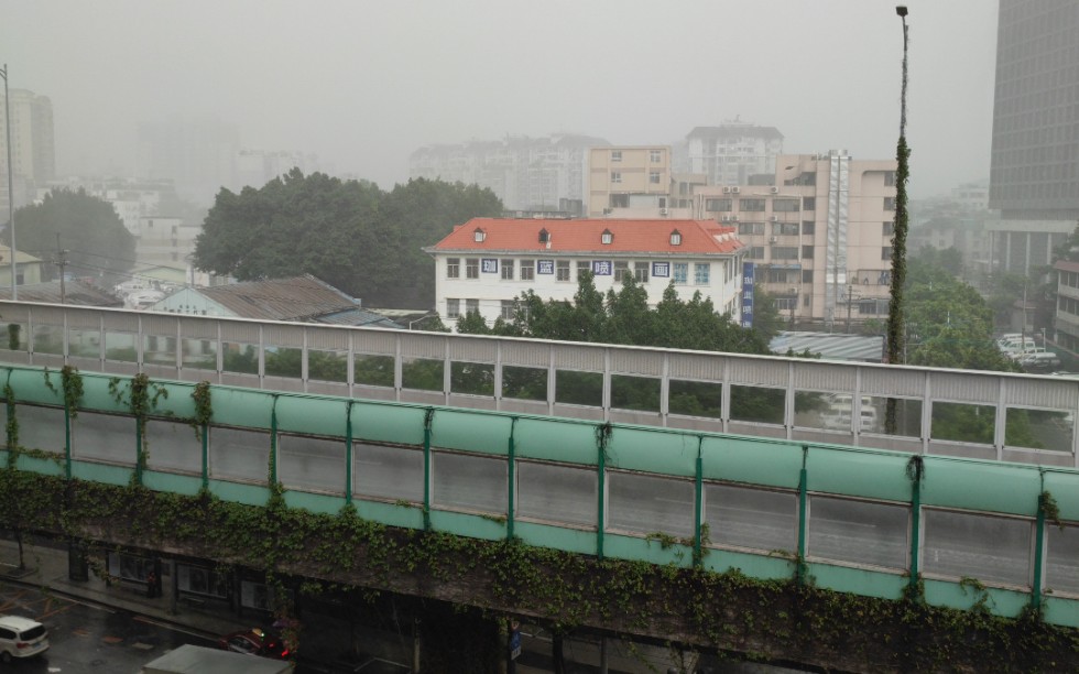 记一场大风大雨哔哩哔哩bilibili