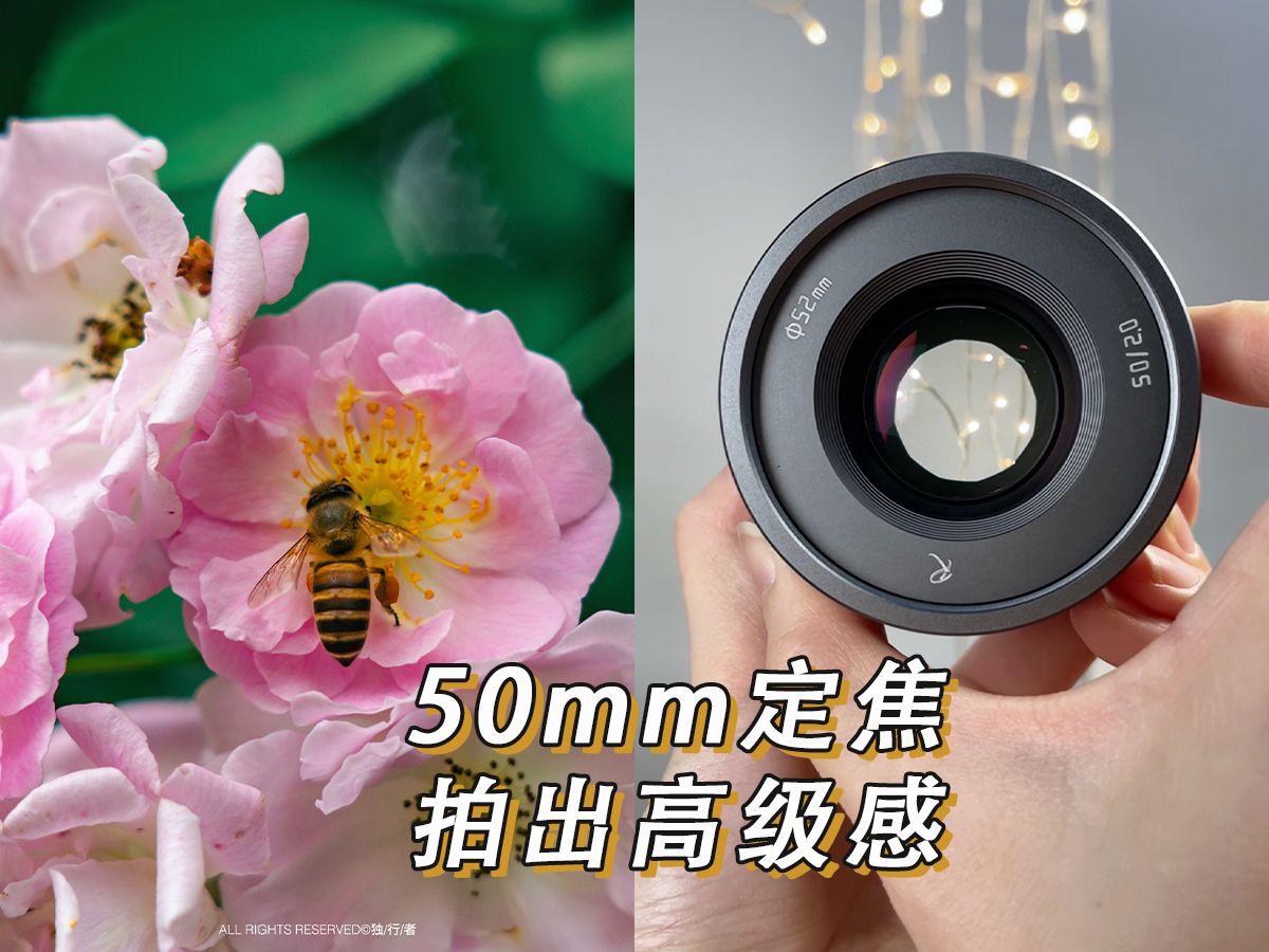 50mm定焦 拍出高级感哔哩哔哩bilibili