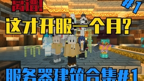 Minecraft 做一个高效率的掠夺者塔 使用方法 哔哩哔哩 つロ干杯 Bilibili