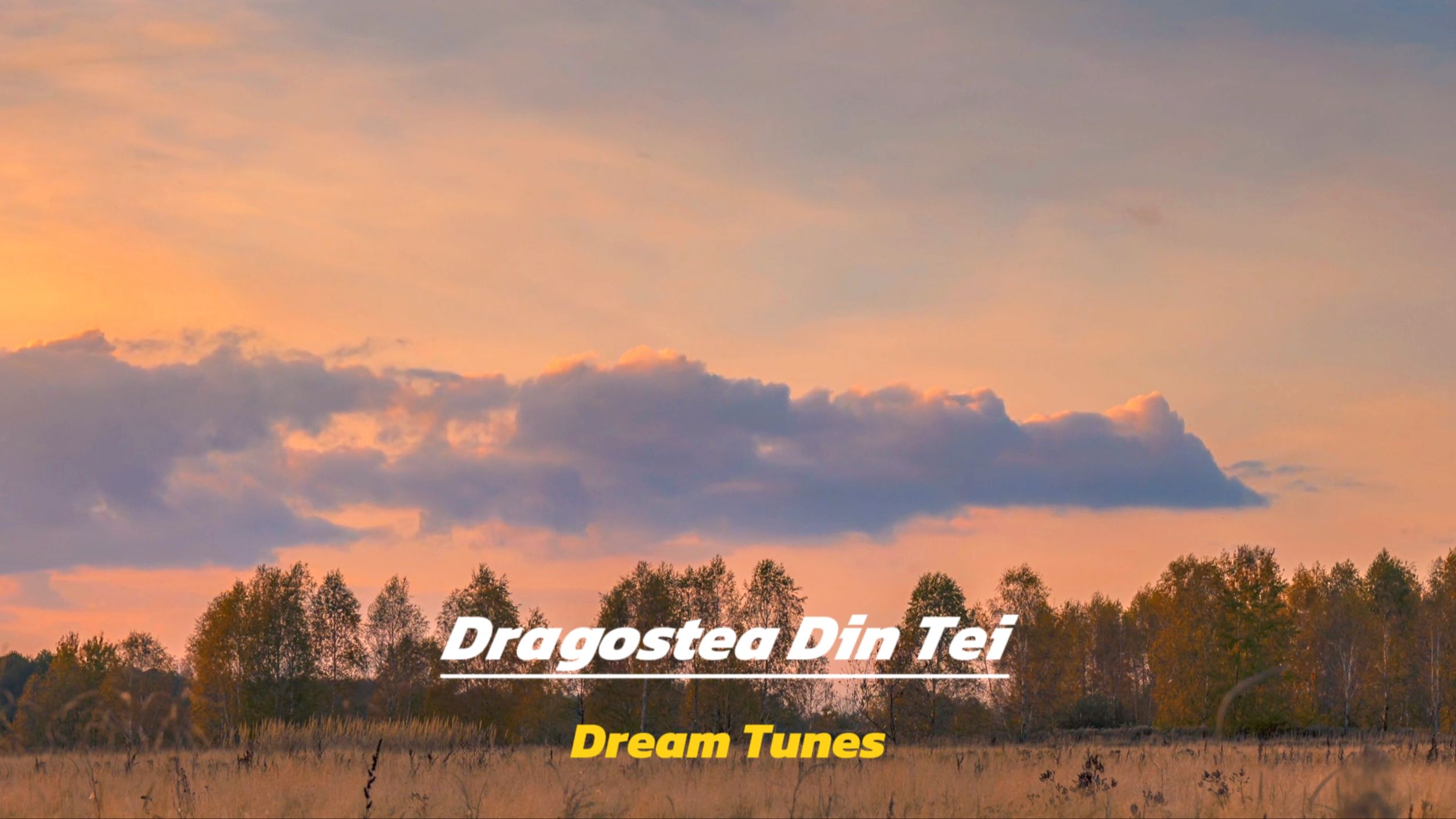 唱出了一种神圣感" 『dragostea din tei3(椴树下的爱)』--- dream