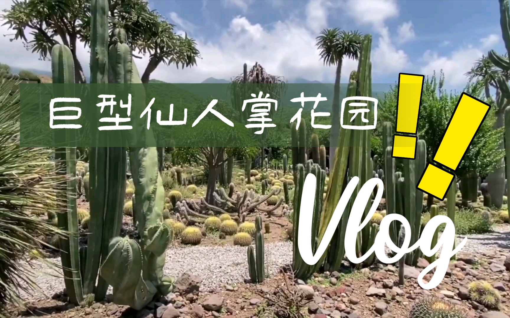 [图]巨型仙人掌🌵花园之旅TOUR por Jardín de Cactus GIGANTES!!!