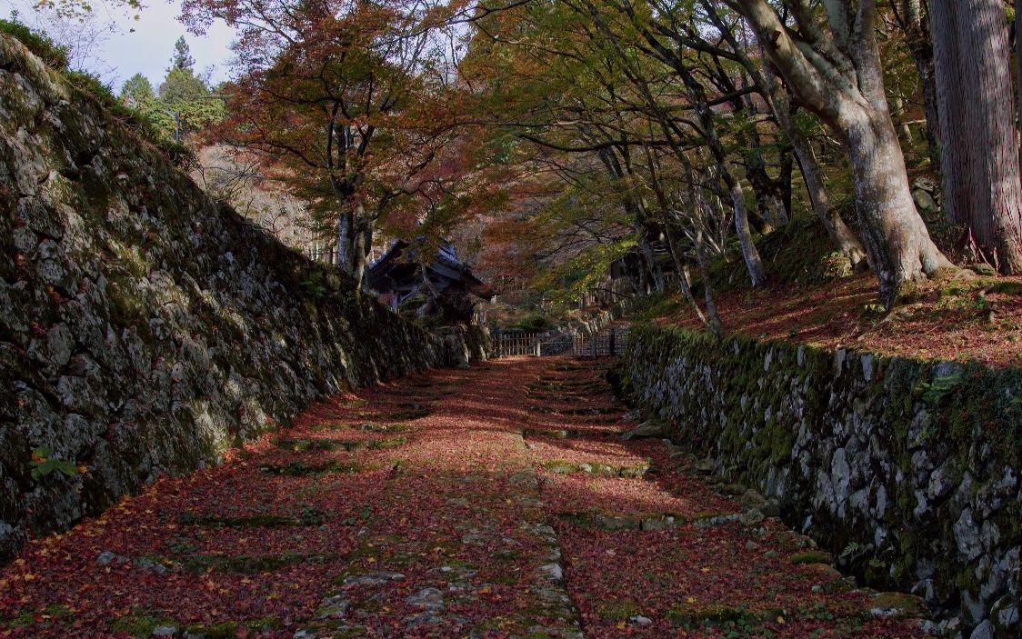 【超清日本】第一视角 滋贺县 釈迦山 百済寺 (4K测试视频) 2021.1哔哩哔哩bilibili