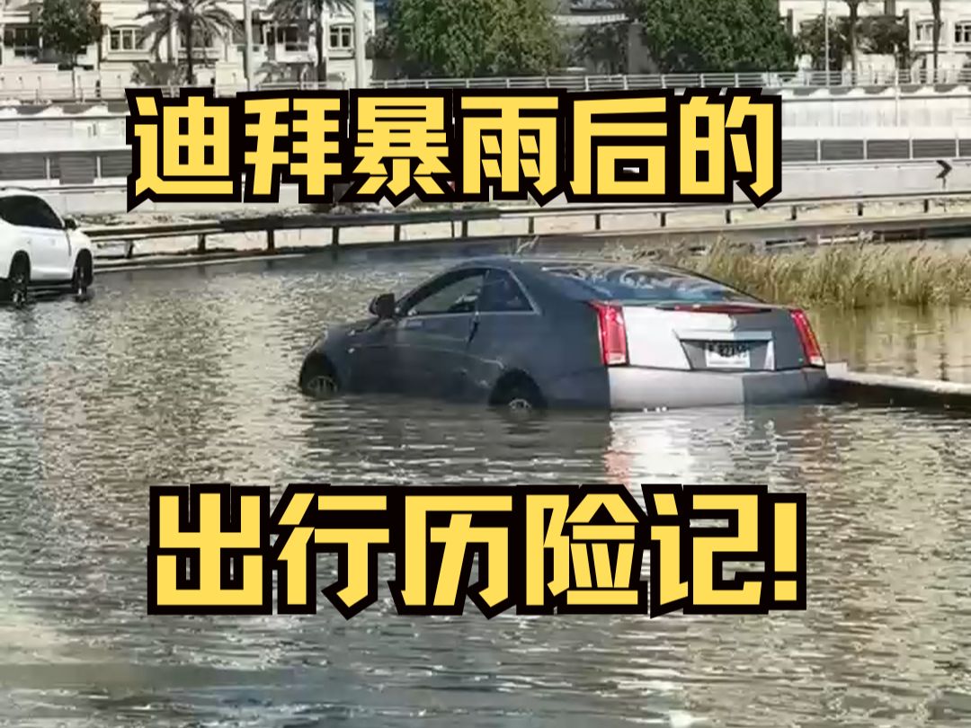 [图]迪拜暴雨后的出行历险记！（迪拜暴雨后续）