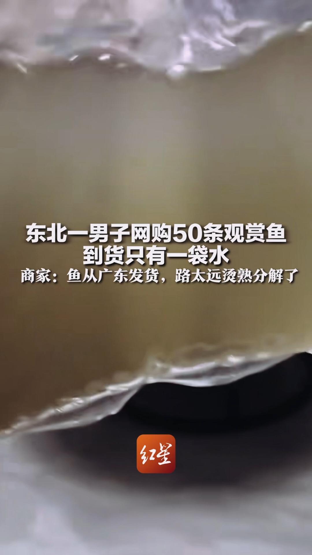东北一男子网购50条观赏鱼  到货只有一袋水  商家：怕鱼冻死放了加热包  路太远烫熟分解了