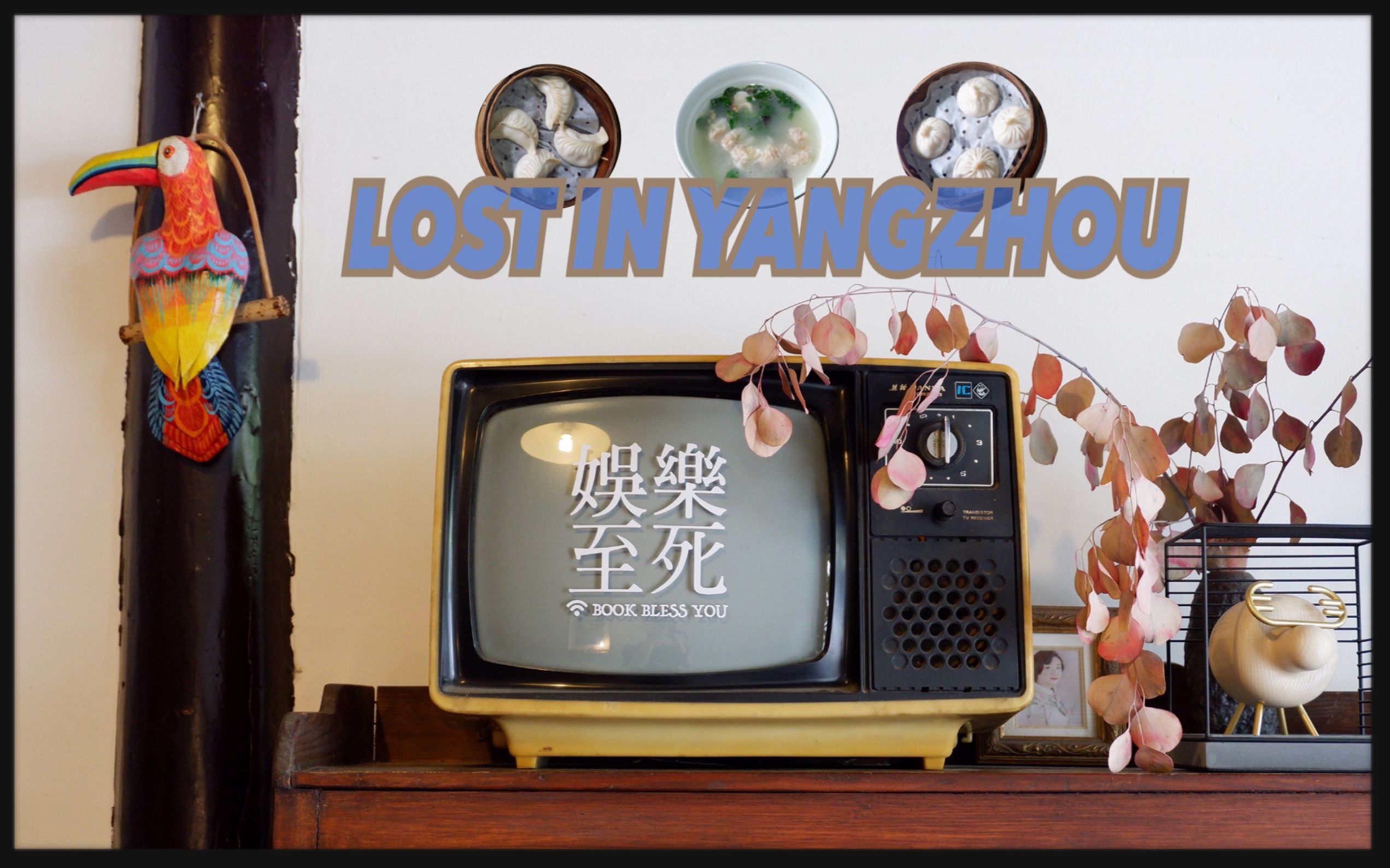 vlog丨收拾收拾东西回扬州zo06u