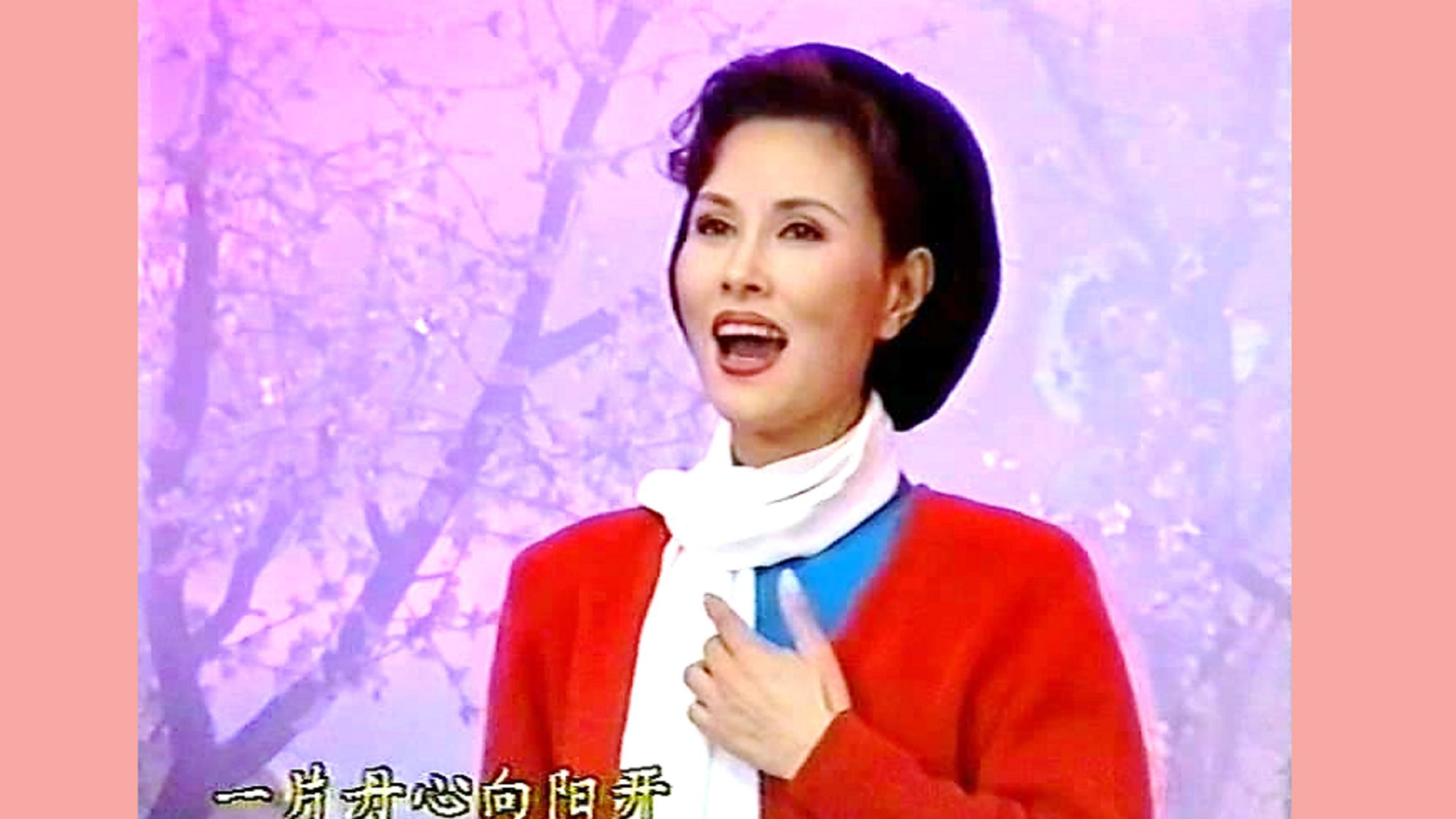 卢秀梅《红梅赞》1997文化部