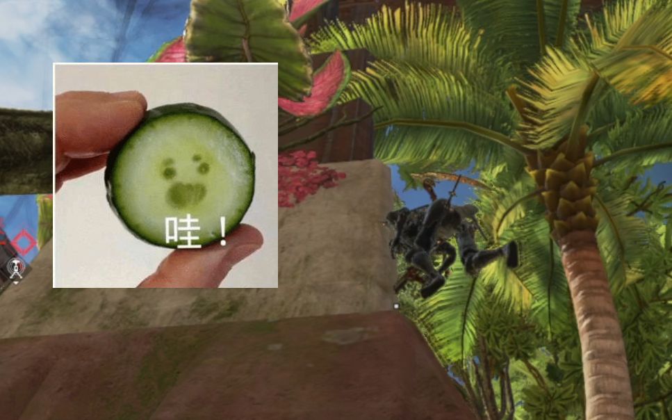 apex我超现版本广东蟑螂