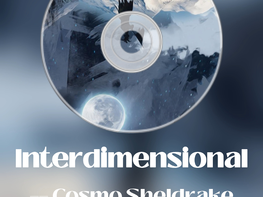 『宝藏推荐 每日唤醒』Interdimensional  Cosmo Sheldrake哔哩哔哩bilibili