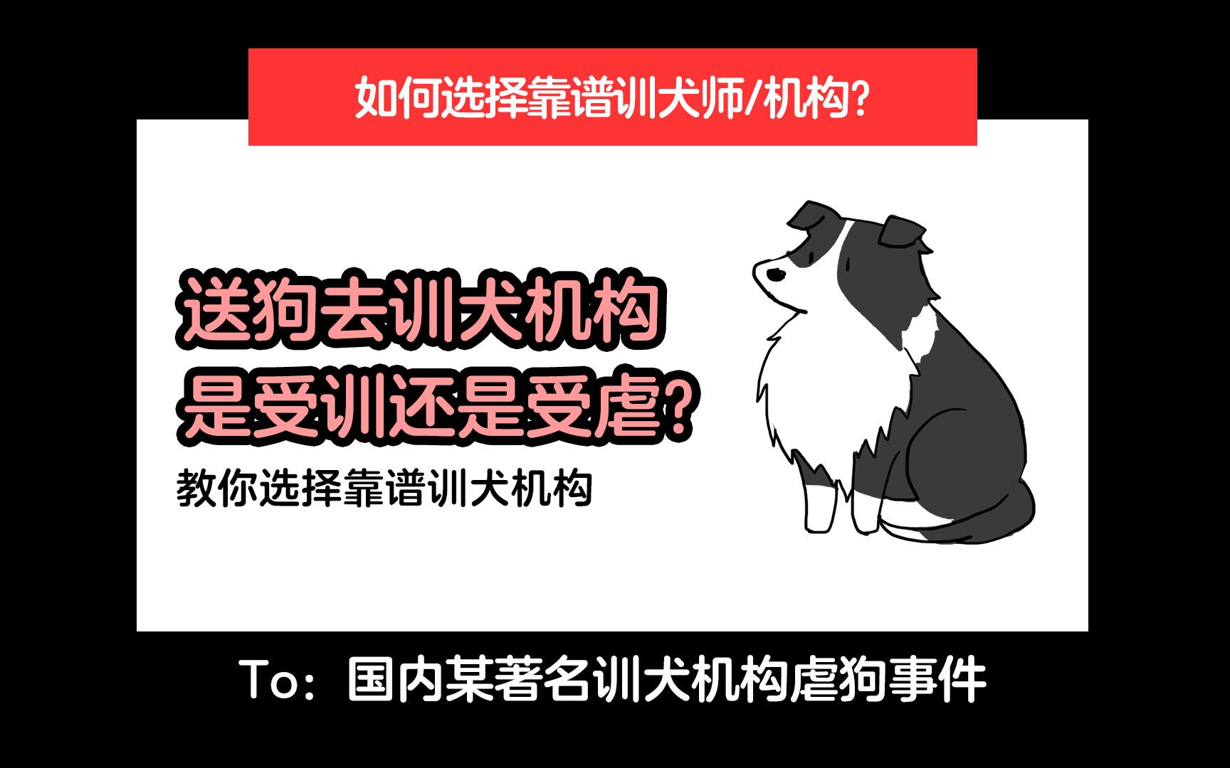 狗子不听话一定要送去训犬学校吗?如何选择靠谱的?哔哩哔哩bilibili